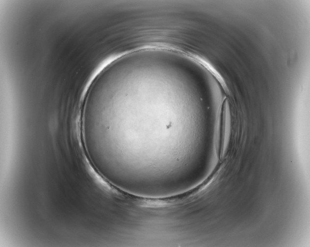 X0000085781100200703161159