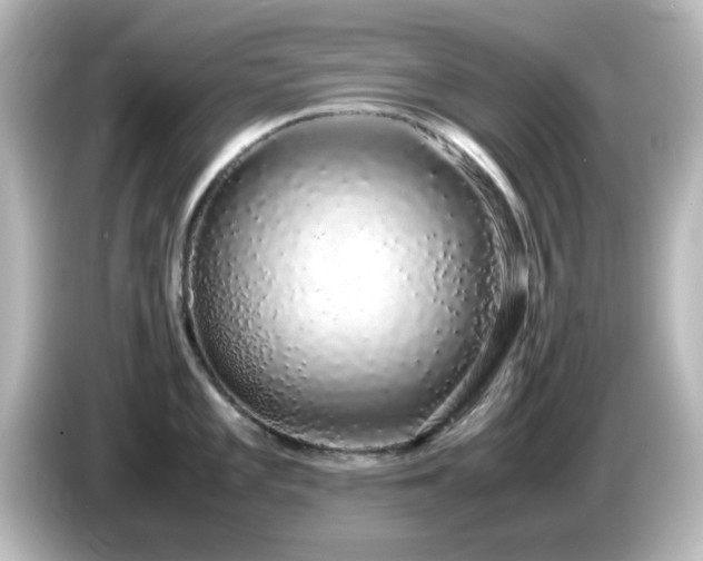 X0000085781101200703161159