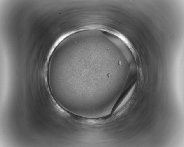 X0000085781102200703161159