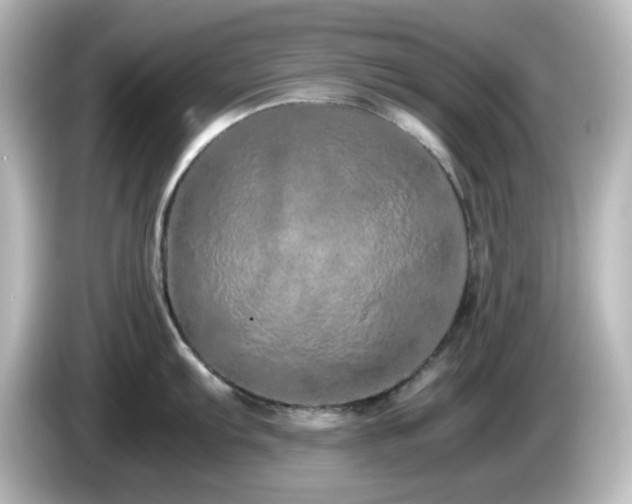 X0000085781103200703161159