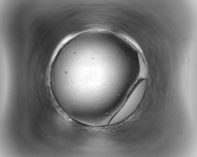 X0000085781104200703161159