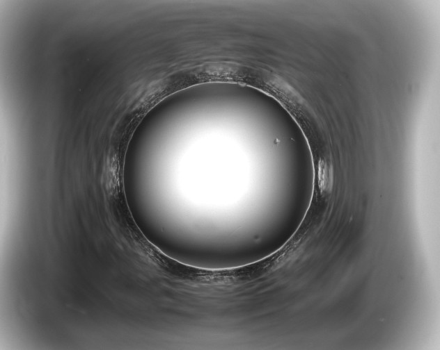 X0000085781107200703161159