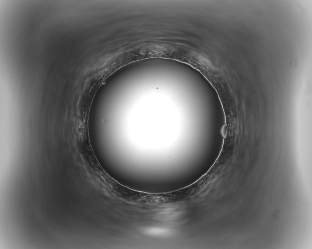 X0000085781109200703161159