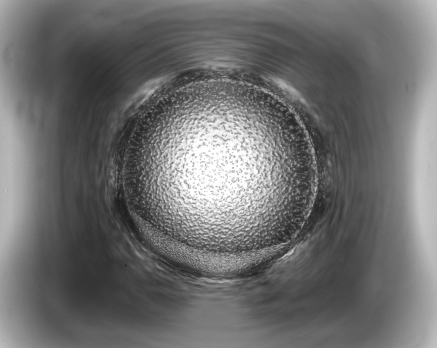 X0000085781110200703161159