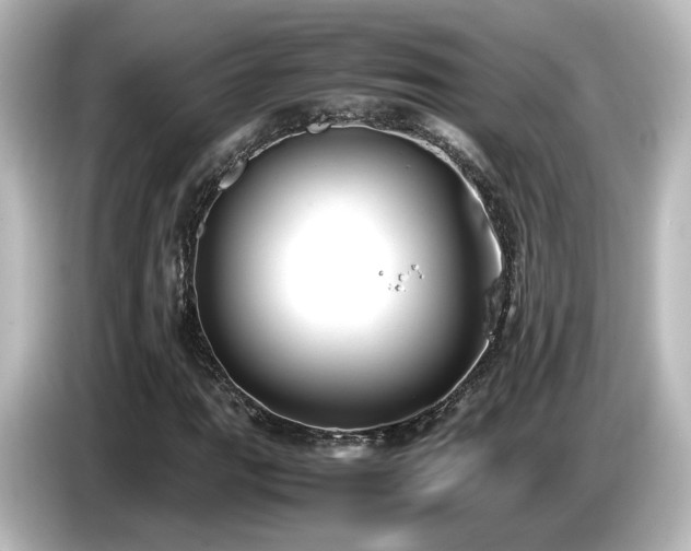 X0000085781111200703161159