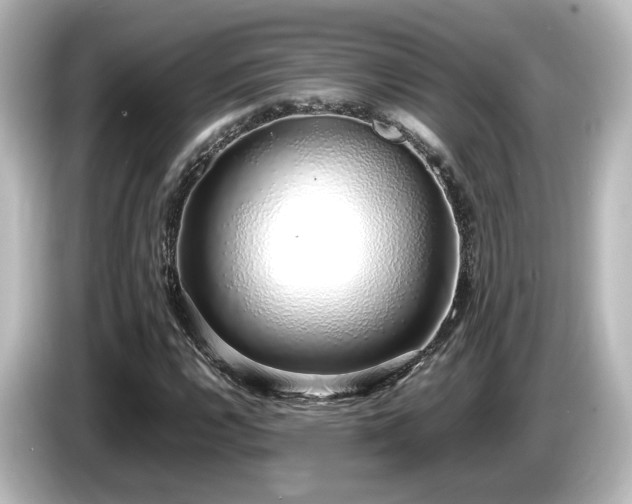 X0000085781112200703161159