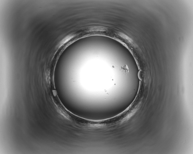 X0000085781113200703161159