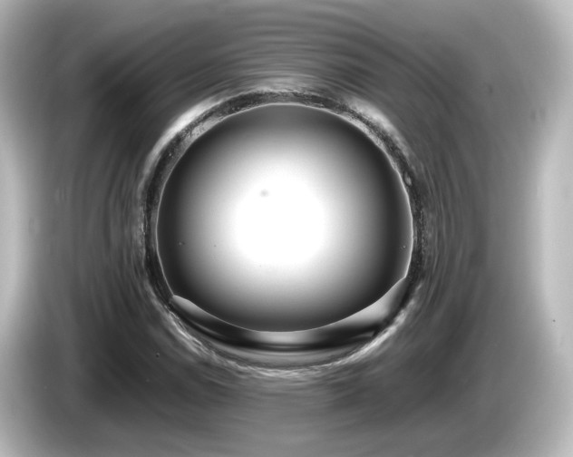 X0000085781114200703161159