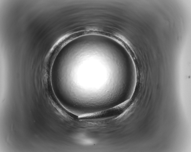 X0000085781115200703161159