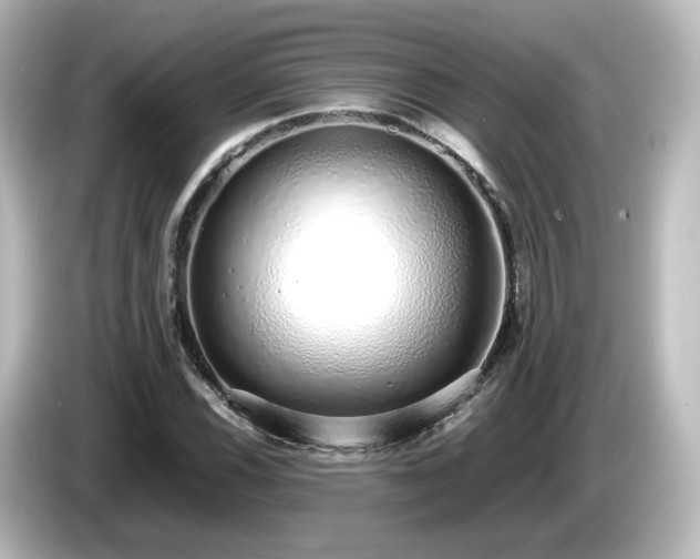X0000085781116200703161159