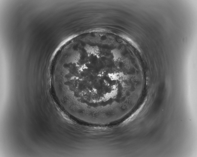X0000085781117200703161159