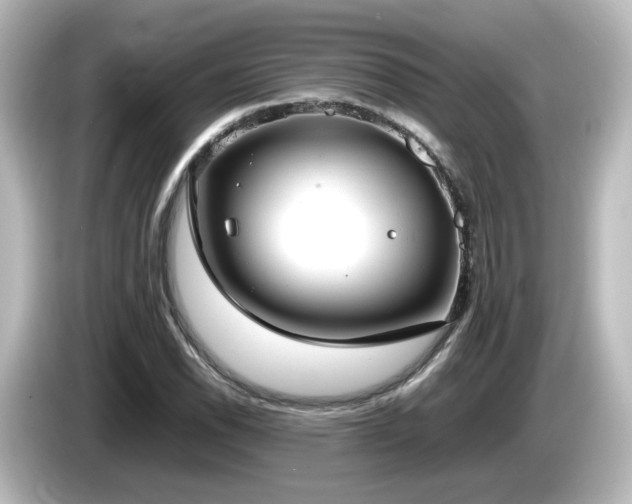 X0000085781118200703161159
