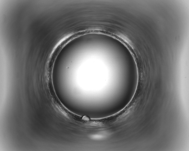 X0000085781119200703161159