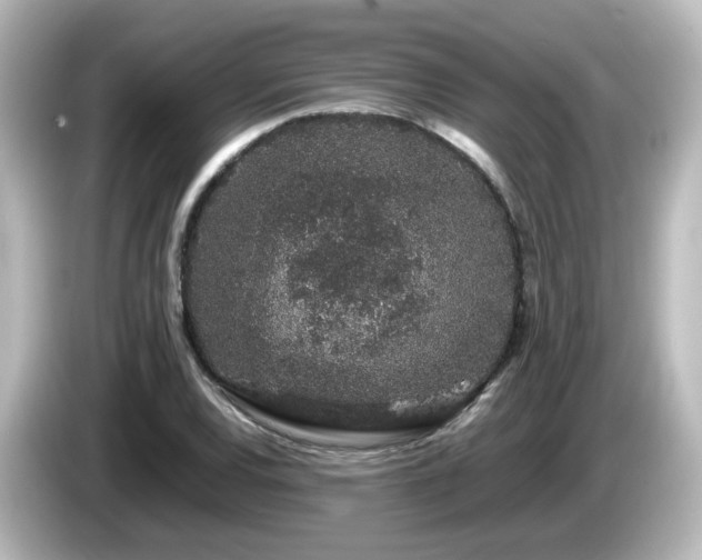 X0000085781120200703161159