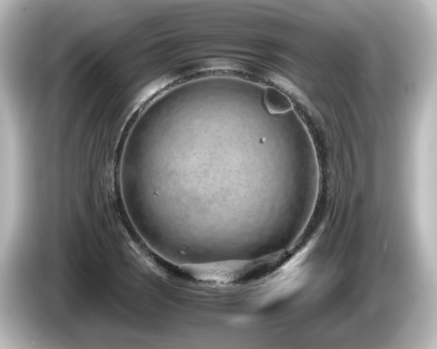 X0000085781121200703161159