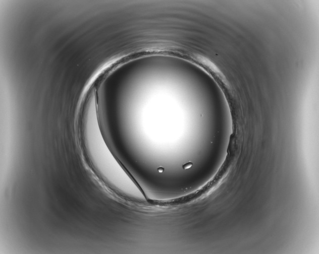 X0000085781122200703161159