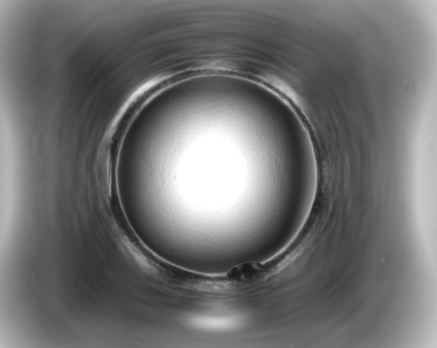 X0000085781123200703161159