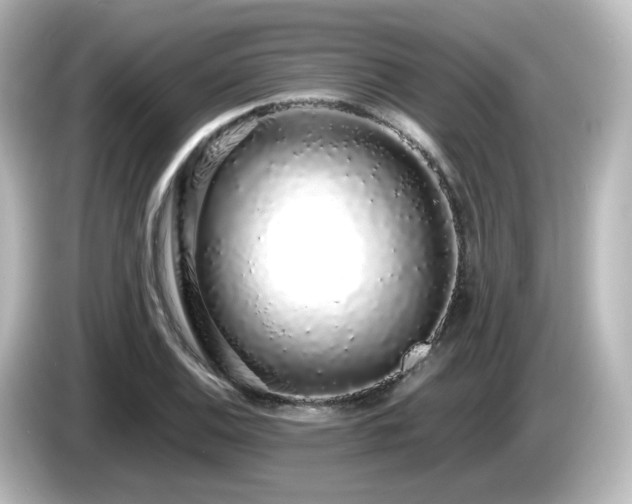 X0000085781124200703161159