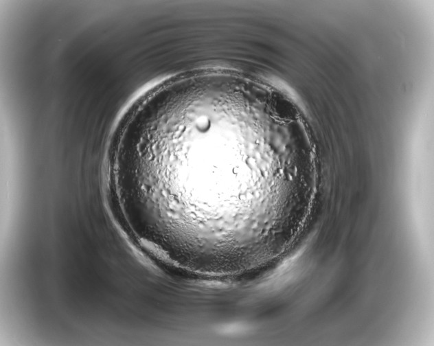 X0000085781125200703161159