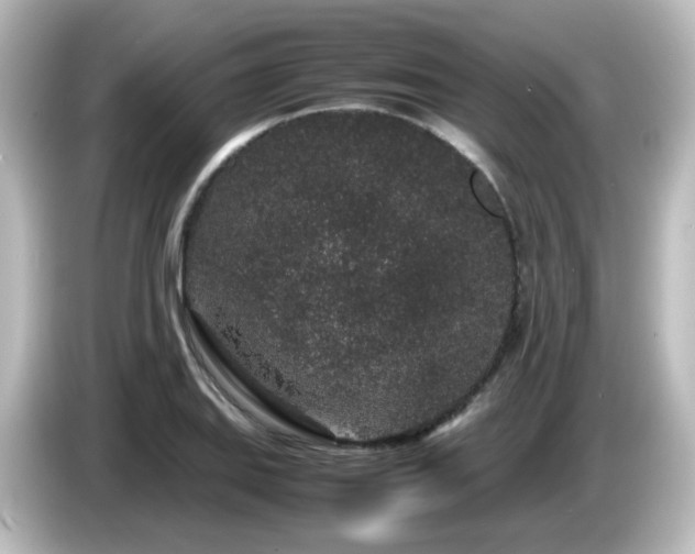X0000085781127200703161159