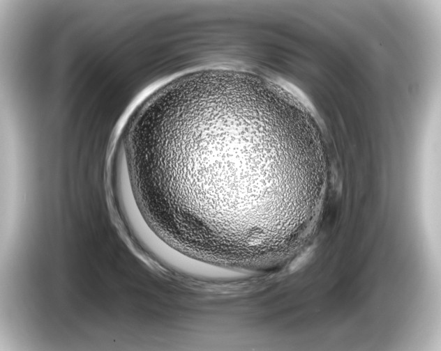 X0000085781128200703161159