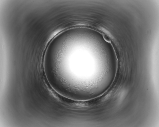 X0000085781129200703161159