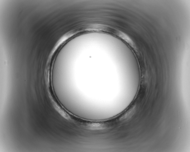 X0000085781130200703161159