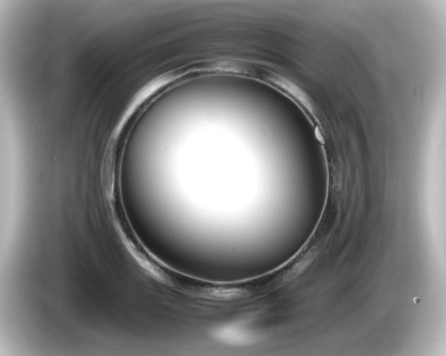 X0000085781131200703161159