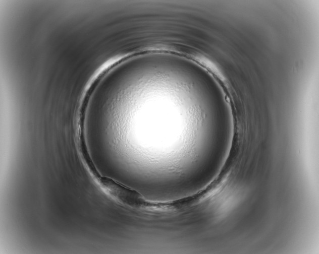 X0000085781133200703161159