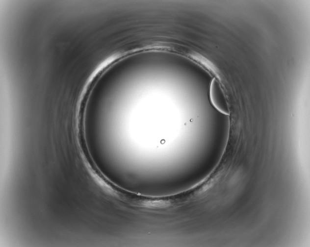 X0000085781135200703161159