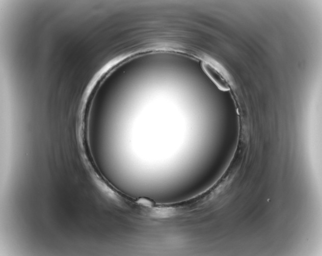 X0000085781136200703161159