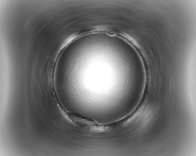 X0000085781137200703161159