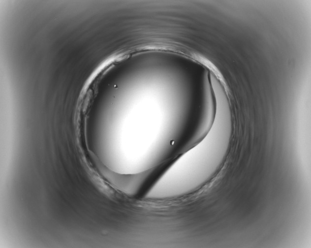 X0000085781138200703161159
