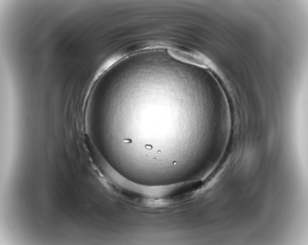 X0000085781145200703161159