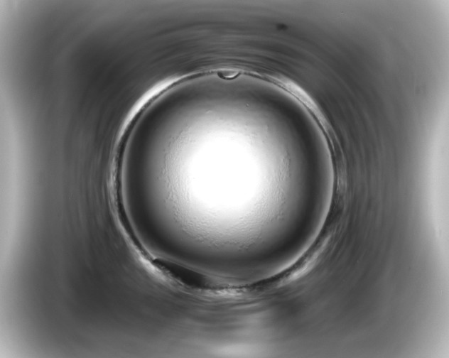 X0000085781149200703161159