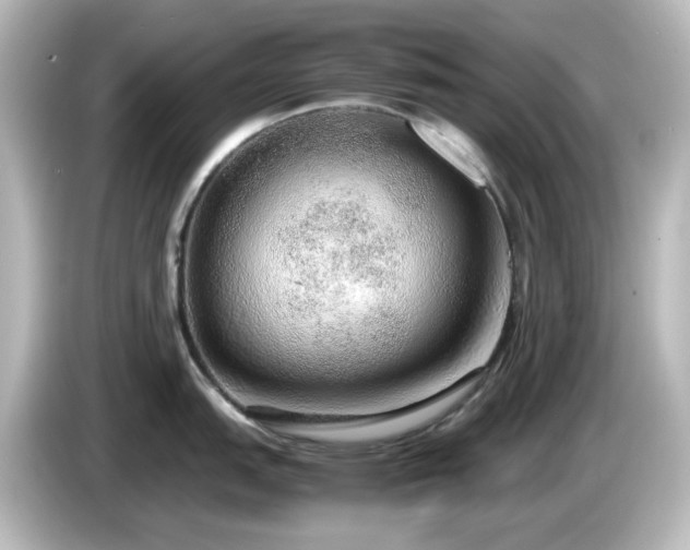 X0000085781151200703161159