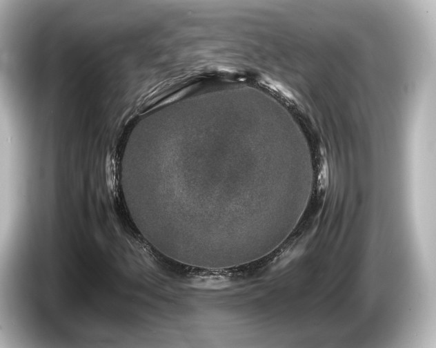 X0000085781156200703161158