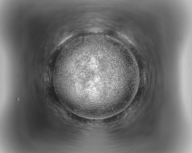 X0000085781158200703161158