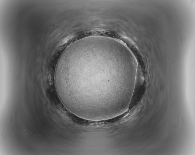 X0000085781159200703161158