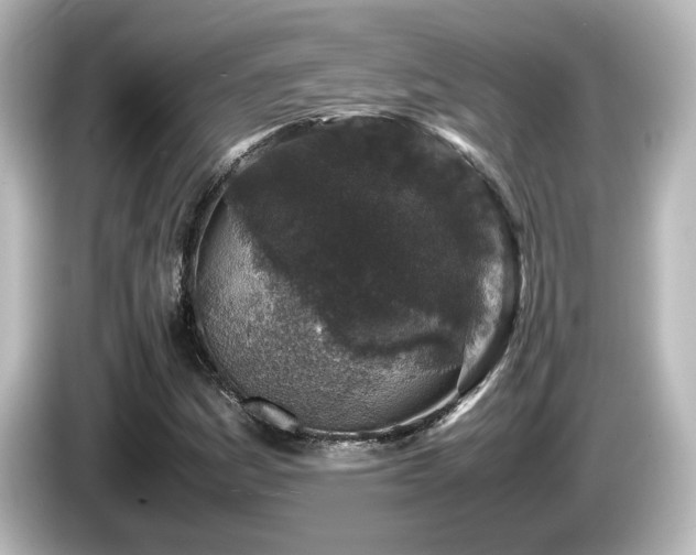 X0000085781161200703161158