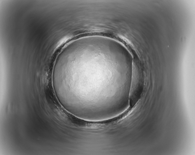 X0000085781163200703161158