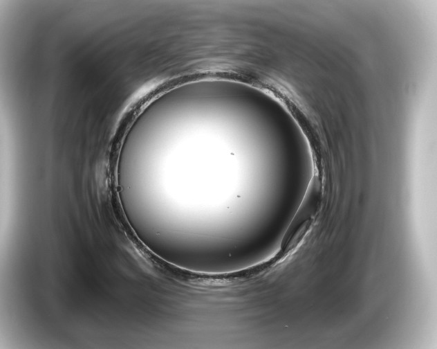 X0000085781164200703161158