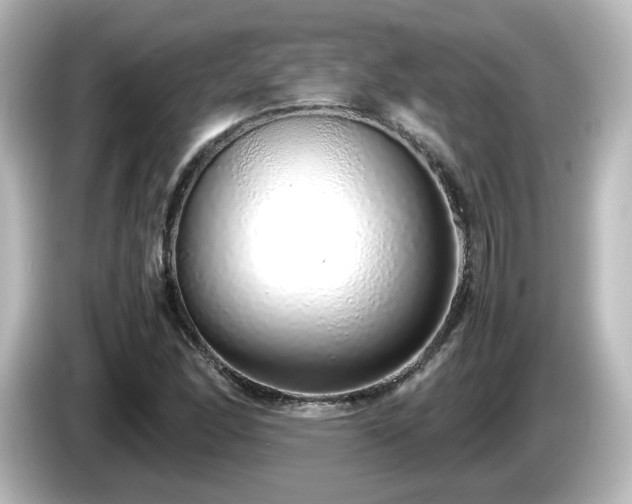 X0000085781166200703161158