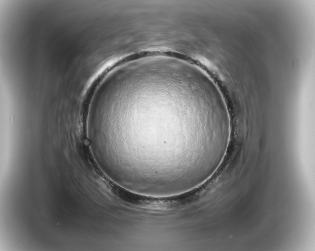 X0000085781167200703161158