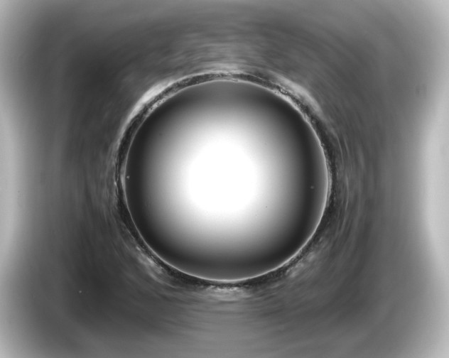 X0000085781168200703161158