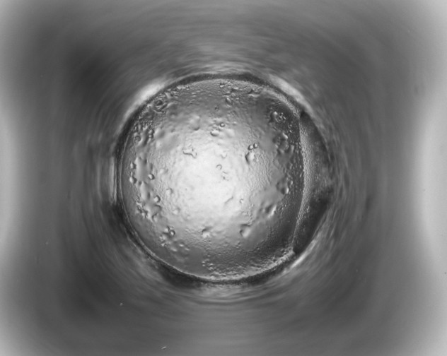 X0000085781171200703161158