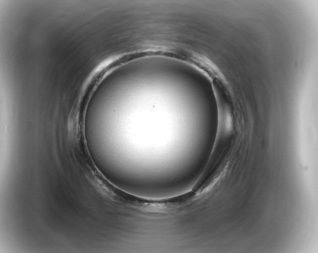 X0000085781172200703161158