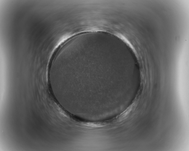 X0000085781173200703161158