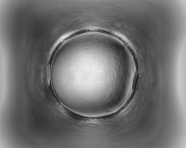X0000085781175200703161158
