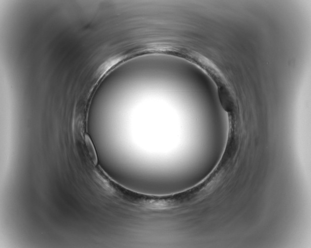 X0000085781177200703161158